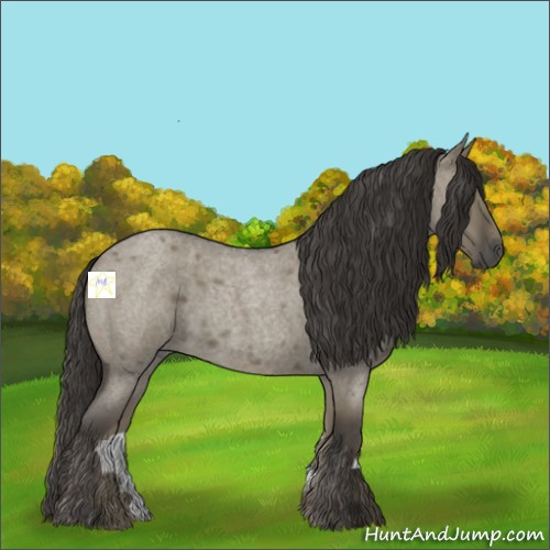 Horse Color:Smoky Grullo Roan 