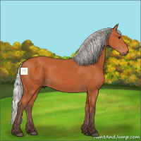 Horse Color:Silver Bay