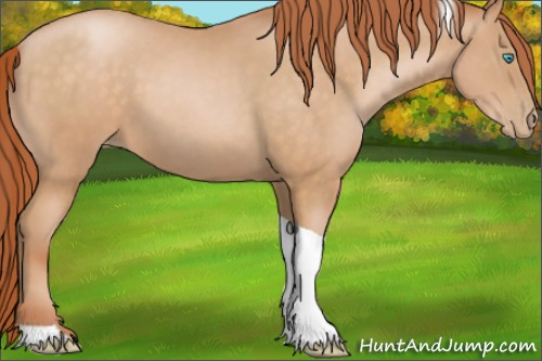 Horse Color:Buckskin Pearl Tobiano 
