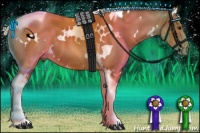 Horse Color:White Spotted Silver Bay Tobiano 
