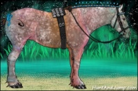 Horse Color:Liver Chestnut Ice 