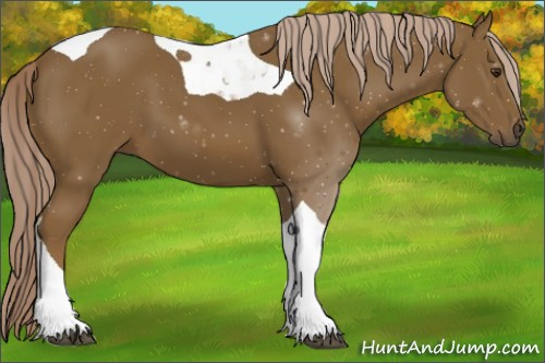 Horse Color:Chocolate Palomino Tobiano 