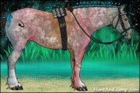 Horse Color:Liver Chestnut Ice Tobiano 