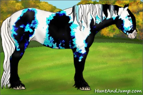 Horse Color:White Spotted Cremello Dun 
