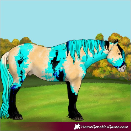 Horse Color:White Spotted Palomino 