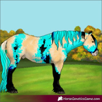 Horse Color:White Spotted Palomino 