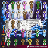 Horse Color:Gray Silver Brown Dun Appaloosa 