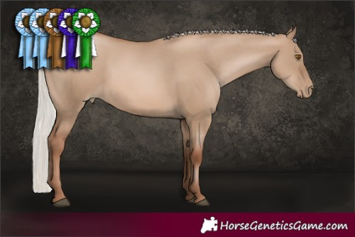Horse Color:Silver Grullo Pearl 