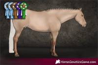 Horse Color:Silver Grullo Pearl 