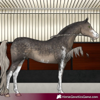 Horse Color:Silver Smoky Black Sabino