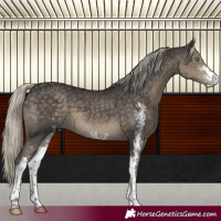 Horse Color:Silver Smoky Black Sabino 