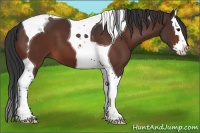 Horse Color:Bay Splash Tobiano 
