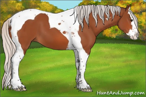 Horse Color:Silver Brown Splash Tobiano 