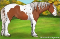 Horse Color:Silver Brown Splash Tobiano 