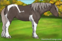 Horse Color:Silver Black Tobiano 