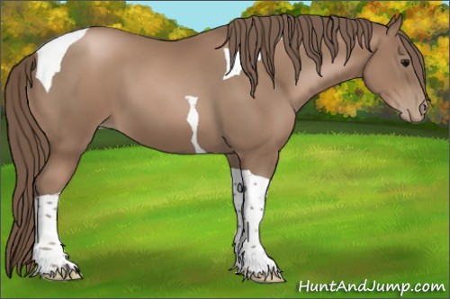 Horse Color:Black Pearl Tobiano 