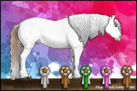 Horse Color:Buckskin Appaloosa