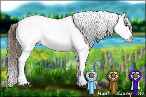 Horse Color:Brown Roan Appaloosa 