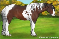 Horse Color:Brown Splash Tobiano 