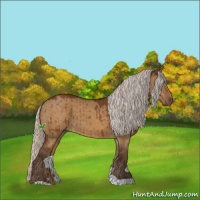 Horse Color:Silver Buckskin Dun Brindle 