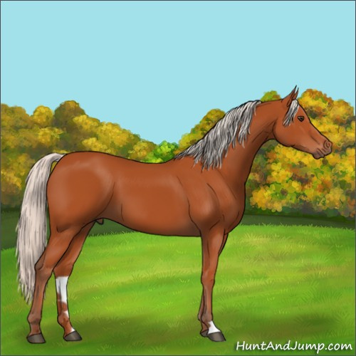 Horse Color:Silver Bay