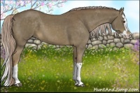 Horse Color:Chocolate Palomino Splash 