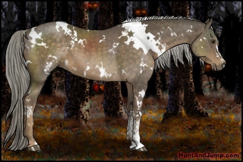 Horse Color:White Spotted Chocolate Palomino