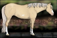 Horse Color:Silver Classic Champagne Dun Splash Frame 