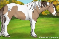 Horse Color:Bay Dun Splash Tobiano Appaloosa 