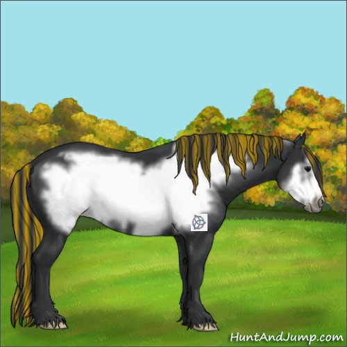 Horse Color:Painted Black Frame 