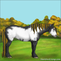 Horse Color:Painted Black Frame 