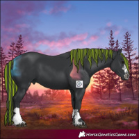 Horse Color:Painted Black 