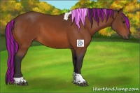 Horse Color:Painted Buckskin Tobiano Rabicano 