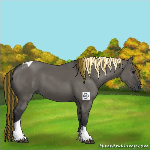 Horse Color:Painted Grullo Tobiano