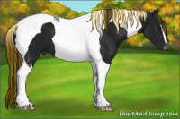 Horse Color:Gray Painted Black Tobiano