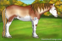 Horse Color:Painted Bay Onyx Splash 