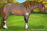 Horse Color:Painted Bay Roan