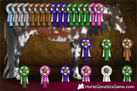Horse Color:White Spotted Brown