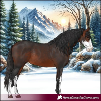 Horse Color:Bay Sabino Rabicano