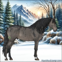 Horse Color:Grullo Brindle 
