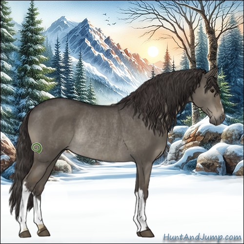 Horse Color:Smoky Grullo Rabicano 
