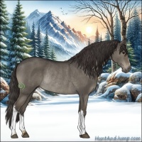 Horse Color:Smoky Grullo Rabicano 