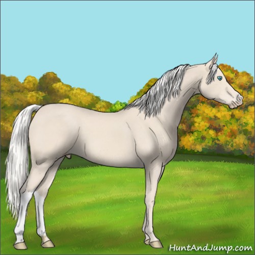 Horse Color:Silver Smoky Creme 