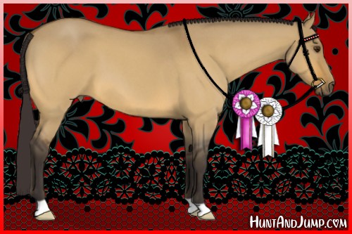 Horse Color:Buckskin Roan Dun 