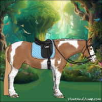 Horse Color:Chestnut Sabino Tobiano