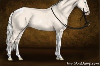 Horse Color:Cremello Sabino Tobiano Rabicano 