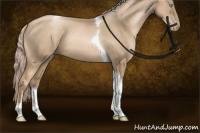 Horse Color:Chocolate Palomino Pearl Sabino Tobiano Rabicano 
