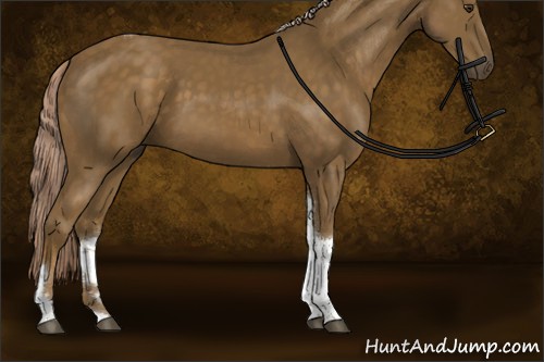 Horse Color:Chocolate Palomino Sabino Tobiano Rabicano