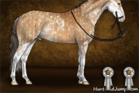 Horse Color:Buckskin Dun Sabino Rabicano  and Buckskin Sabino Rabicano 