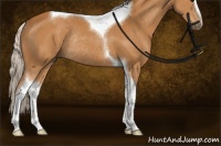 Horse Color:Silver Buckskin Sabino Tobiano Rabicano 